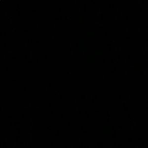 Meet your Posher, Shawn